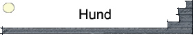 Hund